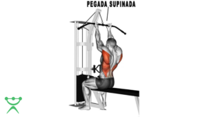Puxador Vertical Supinado