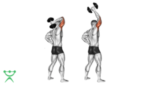 Triceps Frances Unilateral