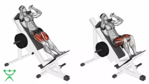 Hack Squat