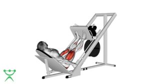 LegPress