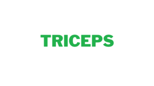 Tríceps