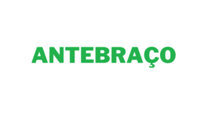 Antebraços
