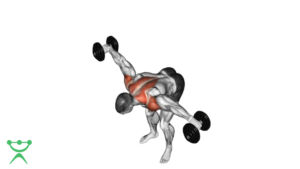 Crucifixo invertido com halteres
