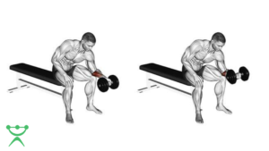 Flexão de Punho Barra Sentado